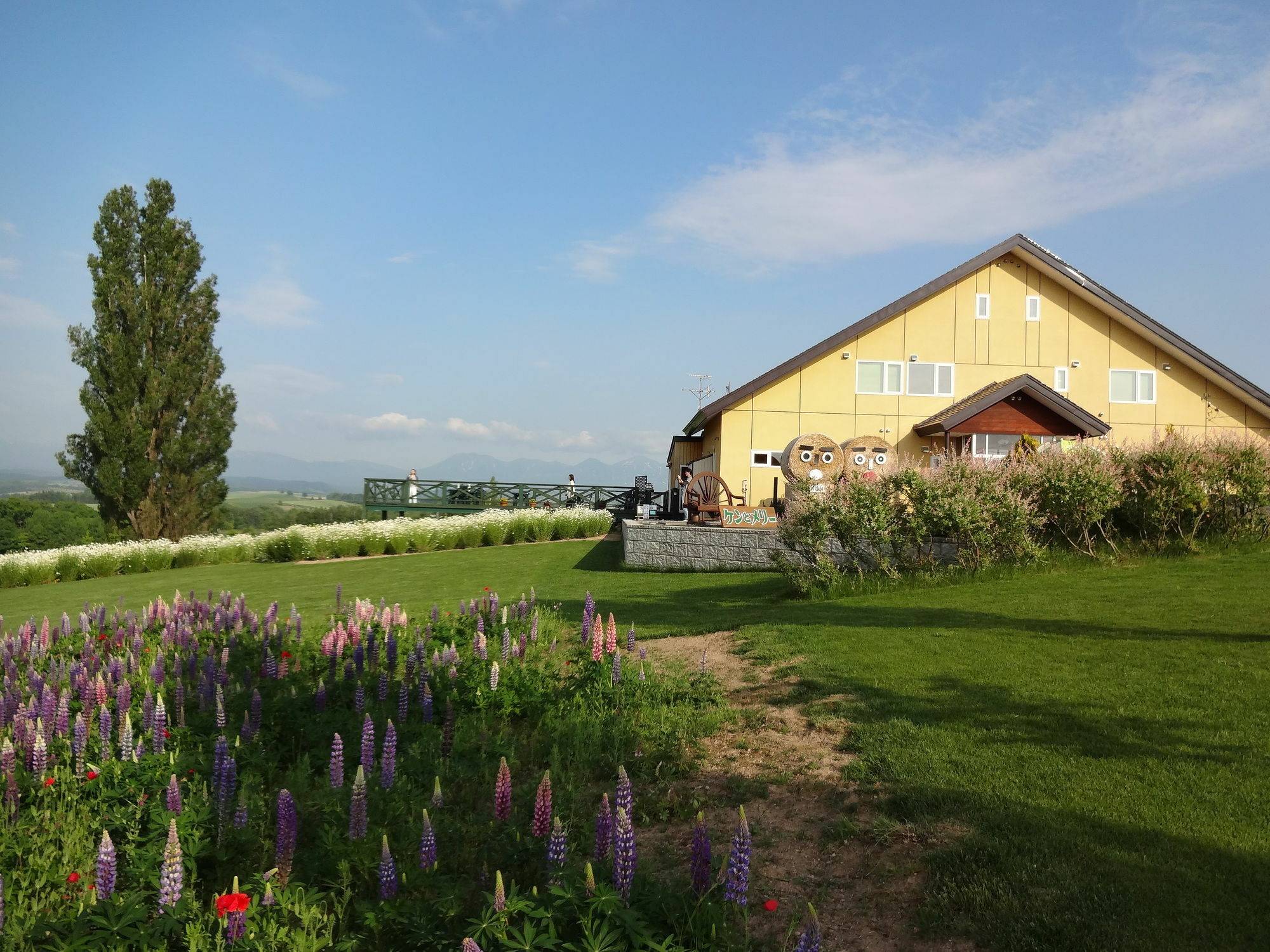 Pension Ken And Mary Биэй Экстерьер фото